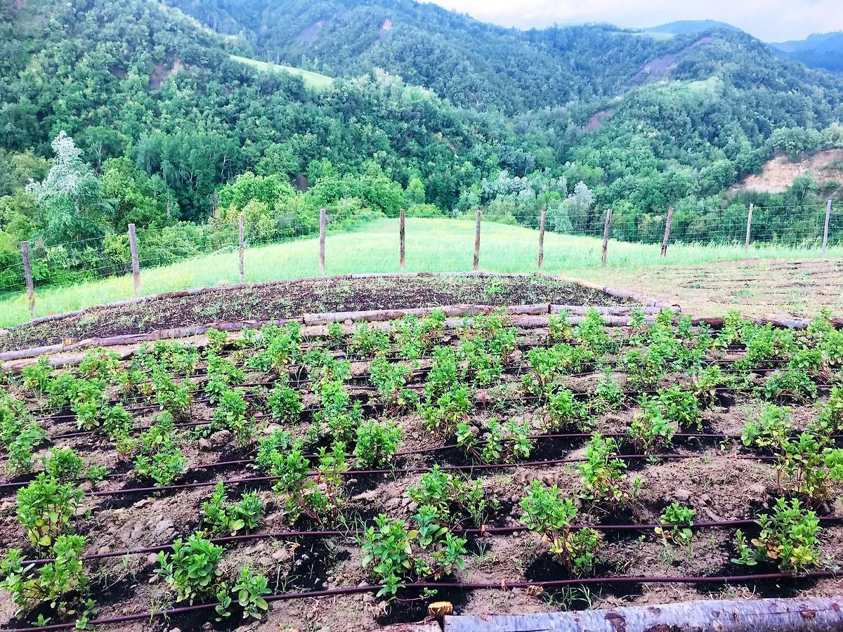 Alloggio per agriturismo Pizzicalaluna Pianoro Italia
