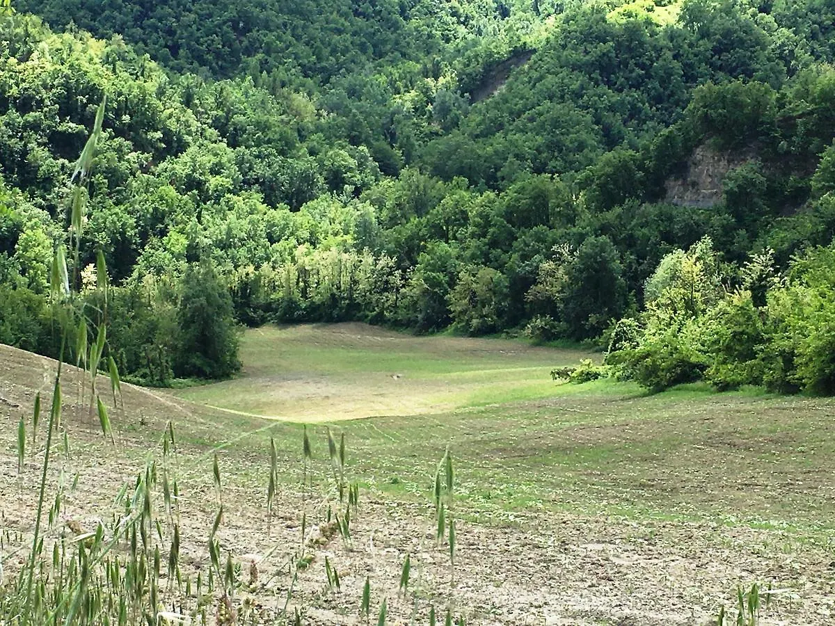 Alloggio per agriturismo Pizzicalaluna Pianoro