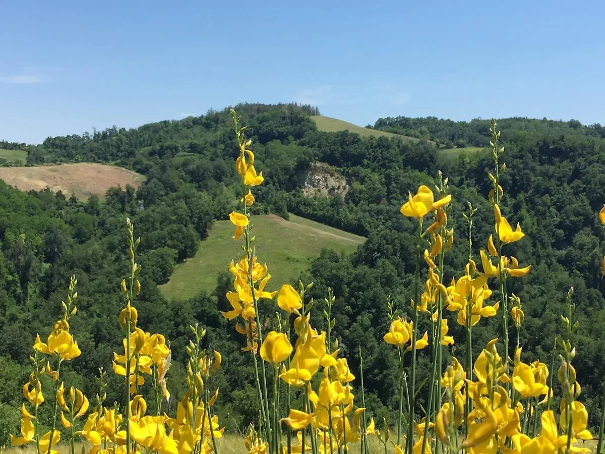 Farm stay Pizzicalaluna Pianoro